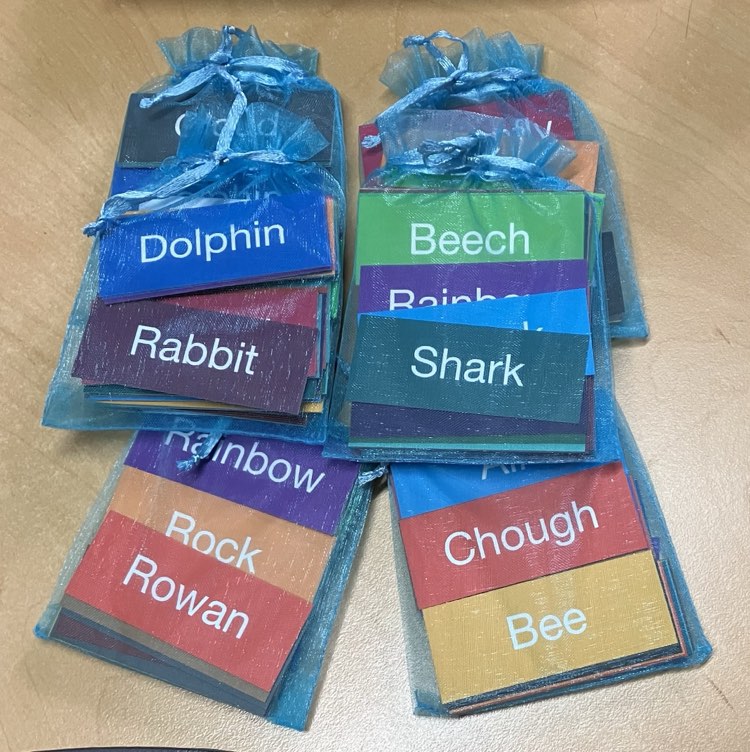 Wild Cornwall packs